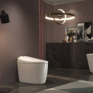 Smart Toilet